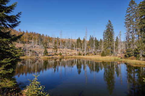 Gemeinde Lindberg Landkreis Regen Hirschbachschwelle Schachtenwanderweg (Dirschl Johann) Deutschland REG